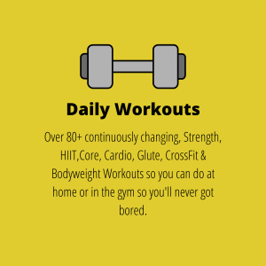 daily workouts
